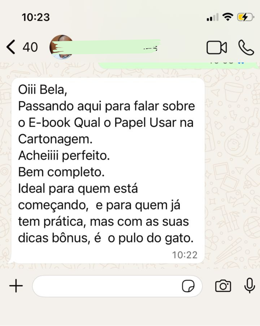 Depoimento WhatsApp 4