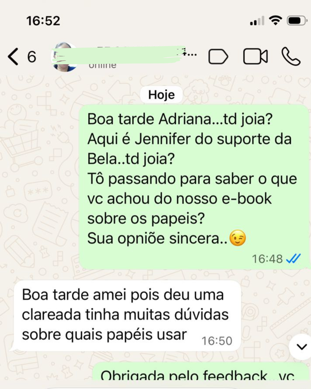 Depoimento WhatsApp 2